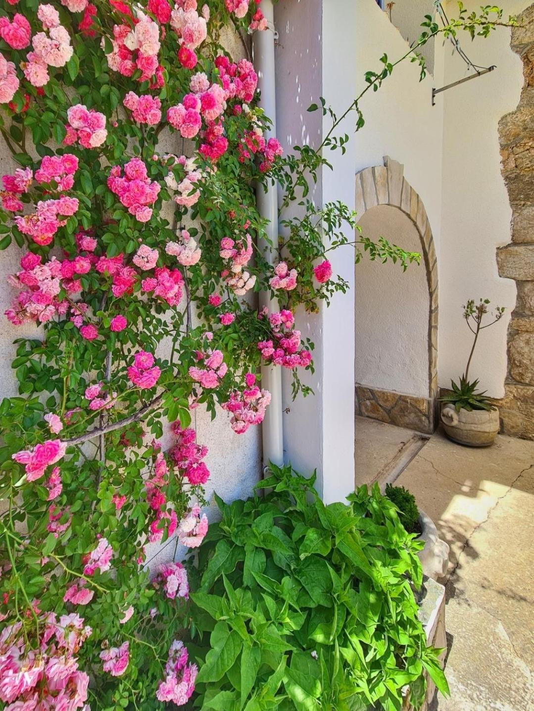 Mošćenička Draga Apartments Sveti Ivan מראה חיצוני תמונה